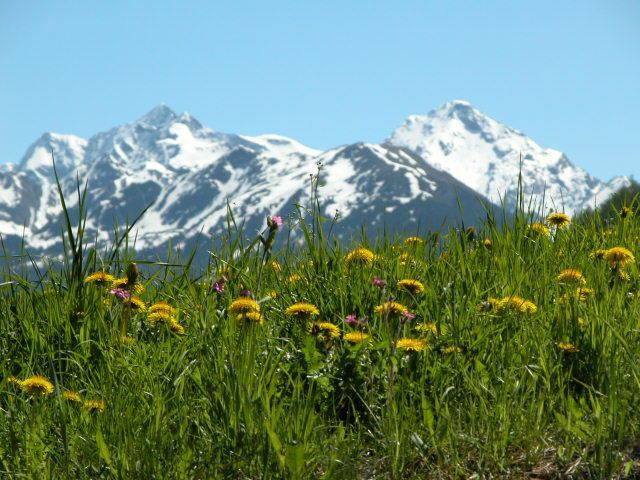 Rio Bianco/Weissenbach Feichterhof Voppichlerヴィラ エクステリア 写真